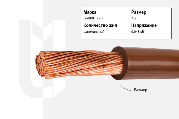 Силовой кабель ВБШВНГ-ХЛ 1х25 мм